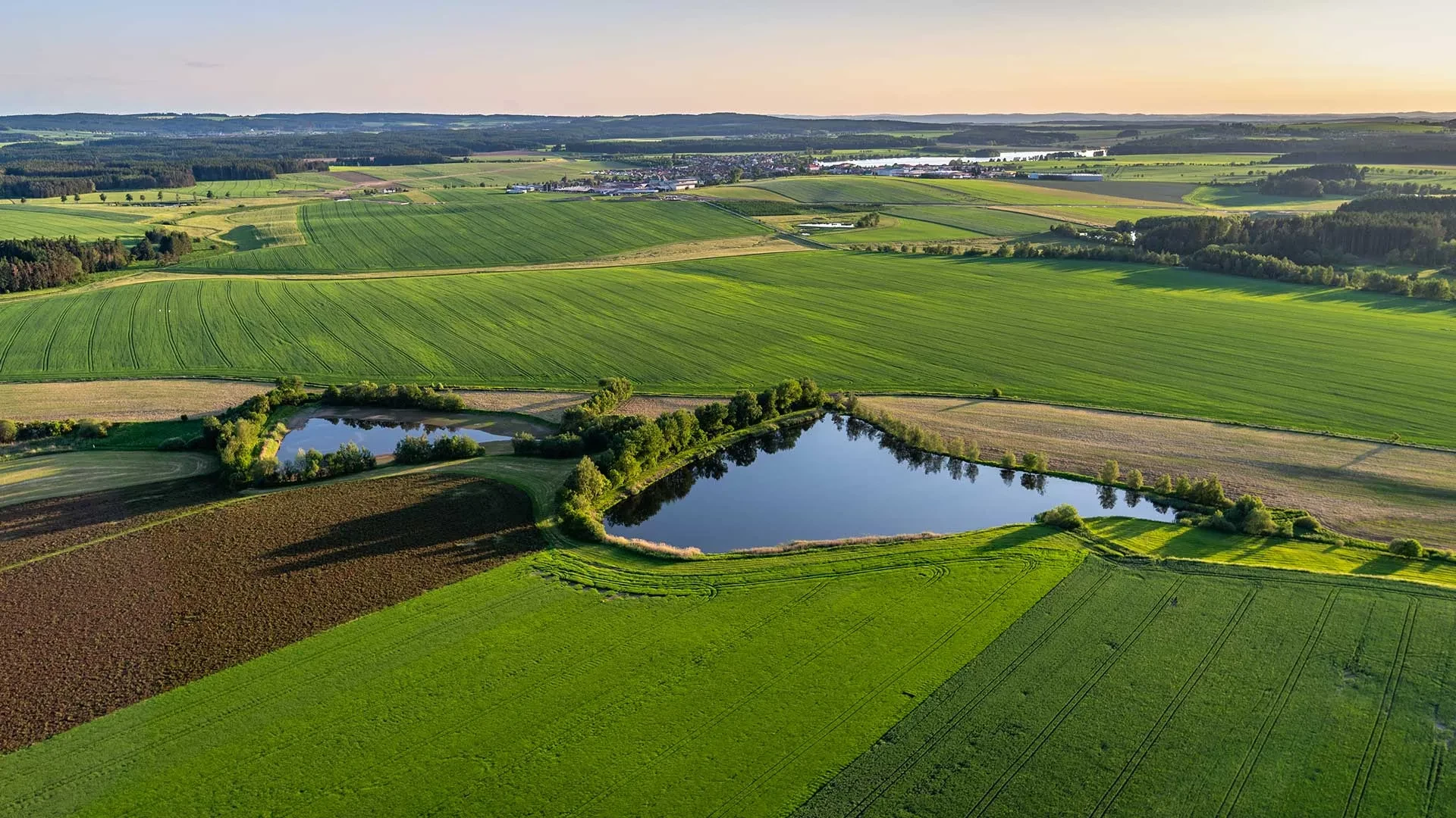 kupimy grunty Toruń i okolice